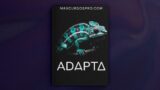 ADAPTA